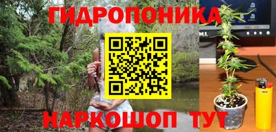 скорость Кунгур