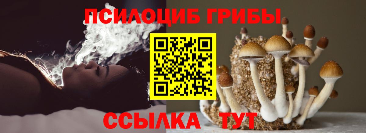 Псилоцибиновые грибы мухоморы Ижевск